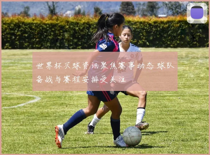 世界杯买球资讯聚焦赛事动态 球队备战与赛程安排受关注