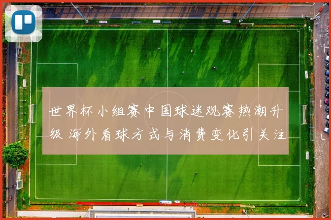 世界杯小组赛中国球迷观赛热潮升级 海外看球方式与消费变化引关注