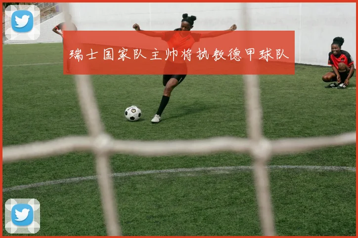 瑞士国家队主帅将执教德甲球队