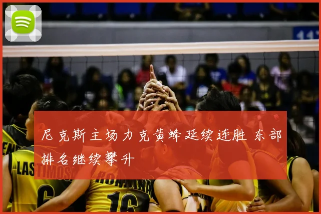 尼克斯主场力克黄蜂延续连胜 东部排名继续攀升