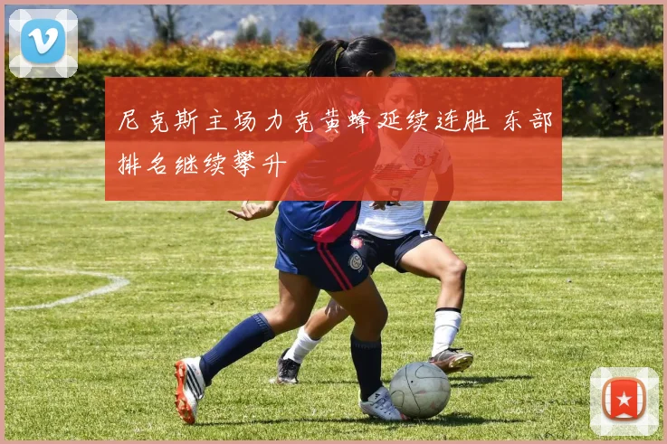 尼克斯主场力克黄蜂延续连胜 东部排名继续攀升