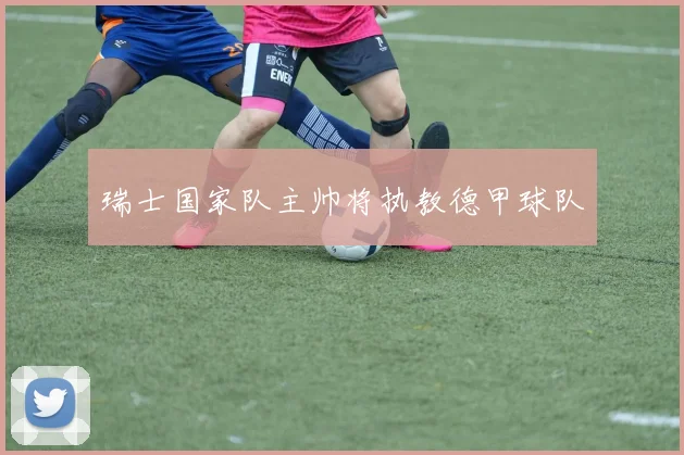 瑞士国家队主帅将执教德甲球队