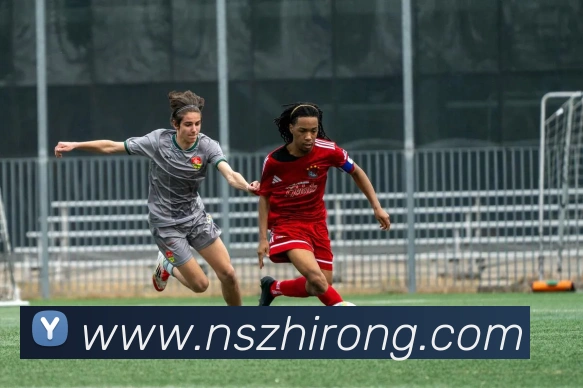 乐竞官网网页版入口发展历程